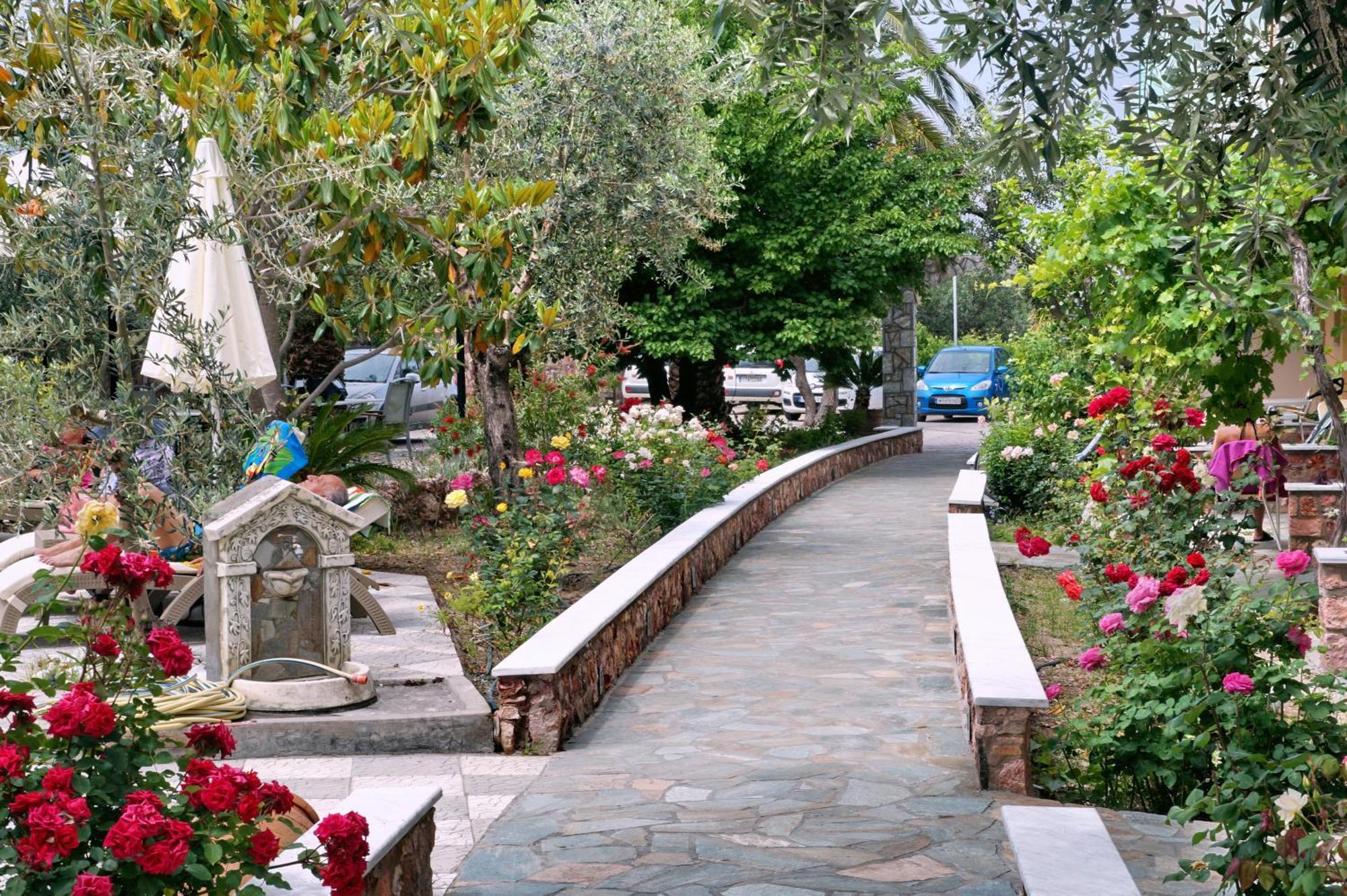Sunset Hotel Petra  Dış mekan fotoğraf